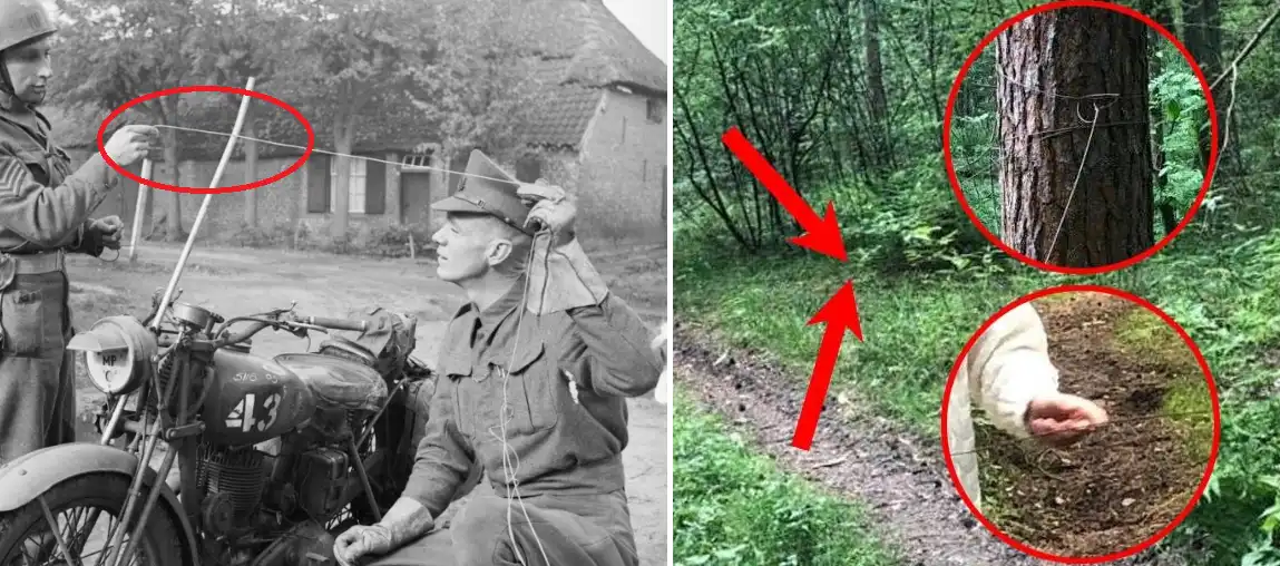 Miért hegesztettek vasrudakat az amerikaiak a dzsipjeik lökhárítójára a második világháború idején? amerikai hadsereg, drótcsapda, dzsip, Ford GPW, haditechnika, harctéri újítások, katonai járművek, második világháború, német hadsereg, terepjáró, történelem, Willys MB, Wire Catcher