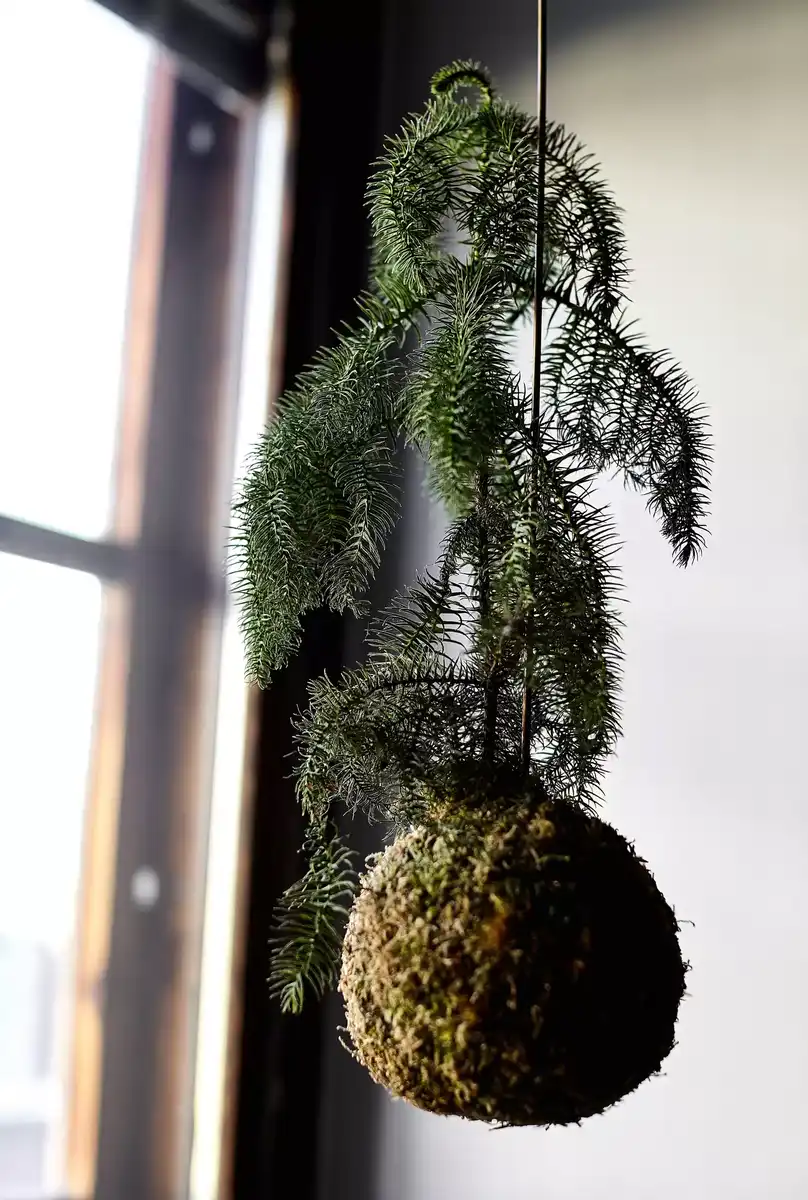 belsőépítészet, DIY, felújítás, finnország, Helsinki, inspiráció, kis alapterület, kis lakás, kokedama, környezetbarát, lakberendezés, Marimekko, mini lakás, minimalista életmód, otthon dekoráció, skandináv stílus, stúdiólakás, történelmi épület, vintage